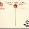 GB KGVI ROYALTY RP CARD Festival Britain 1951 Superb TIGNET View-Side Use MC261 - Image 3