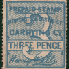 GB QV LOCAL Private Stamp 3d *NEWCASTLE & DISTRICT CARRYING Co* Mint MNG PIW38