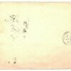 GB Cover PRIVATE PARCEL POST LABEL Birmingham *PGAA* Forwarded Yorks 1907 297d - Image 5