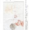 LEVANT Cover 1840 Trieste *DISINFECTED MAIL* Cachet SEMLIN Serbia MA974 - Image 14