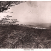 RHODESIA GOLD *Tebekwe Mine* Postcard 1910 RP PPC BSACo Overprint 1d MA441