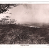 RHODESIA GOLD *Tebekwe Mine* Postcard 1910 RP PPC BSACo Overprint 1d MA441 - Image 4